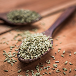 Fennel