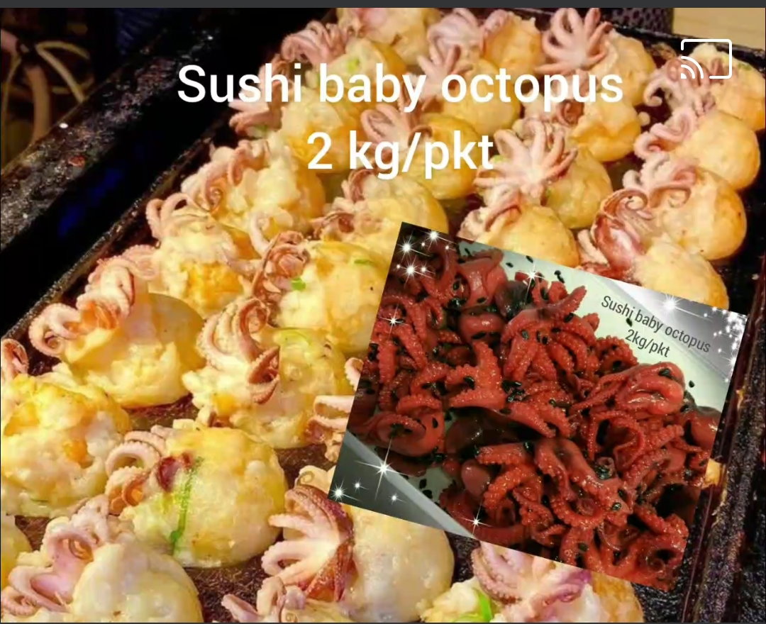 Whole sushi octopus_16