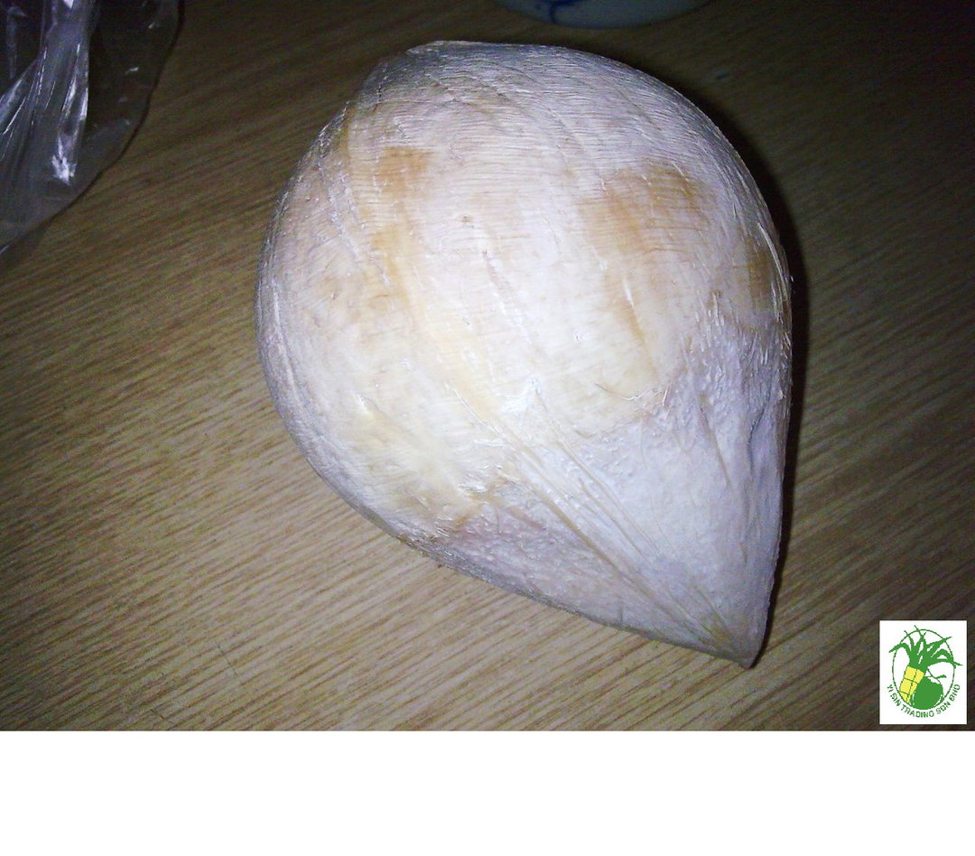 P1-Pointed Coconut
