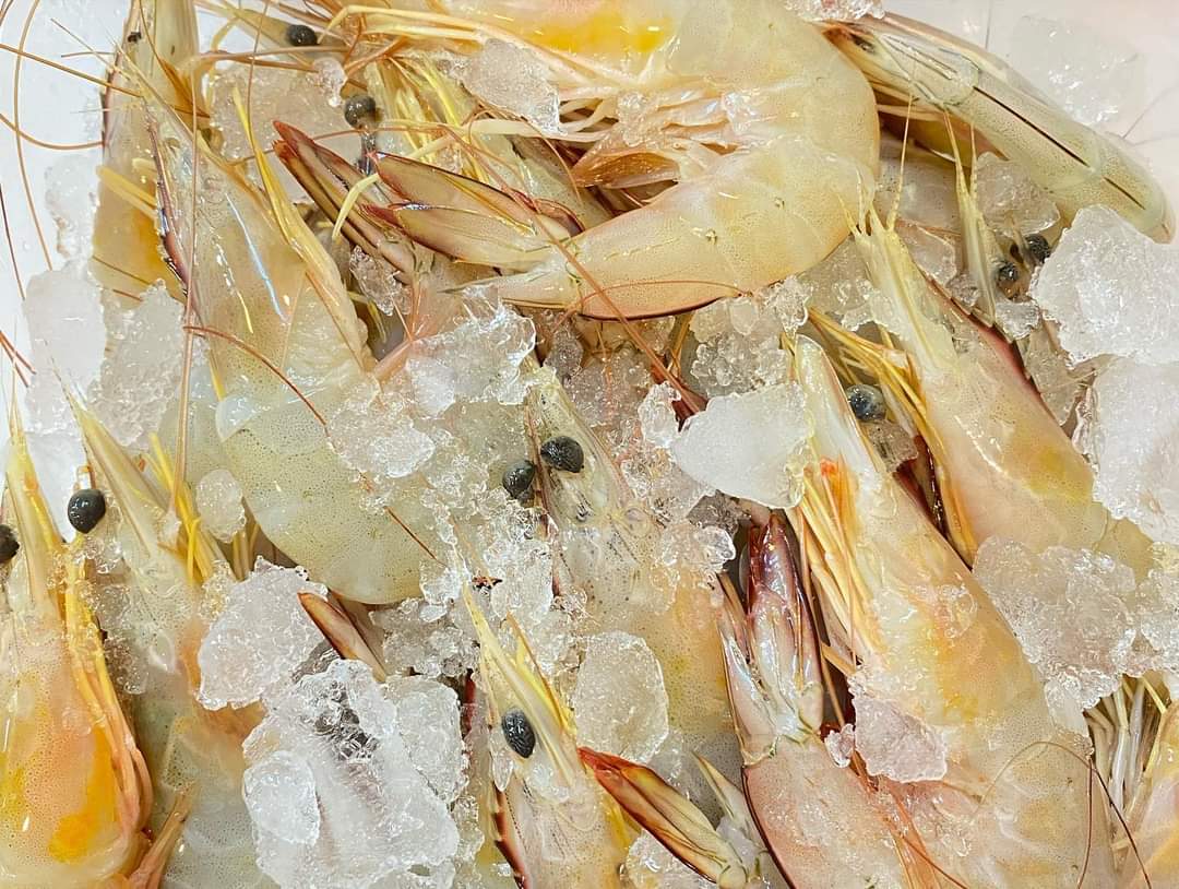 Ang Ka Prawn 红脚虾