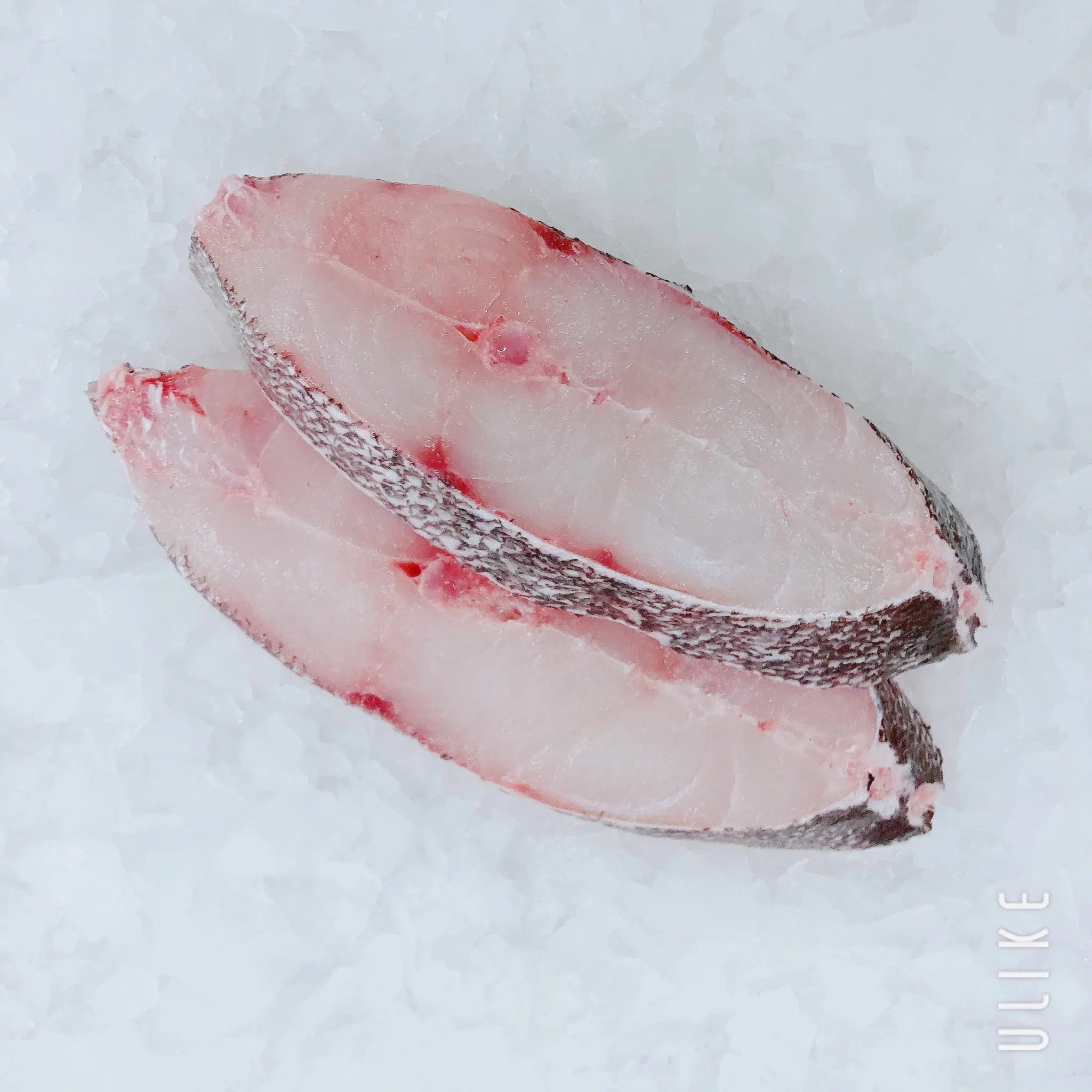 Black Grouper Steak (500-600G) 黑石斑 _1
