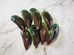 Mussels