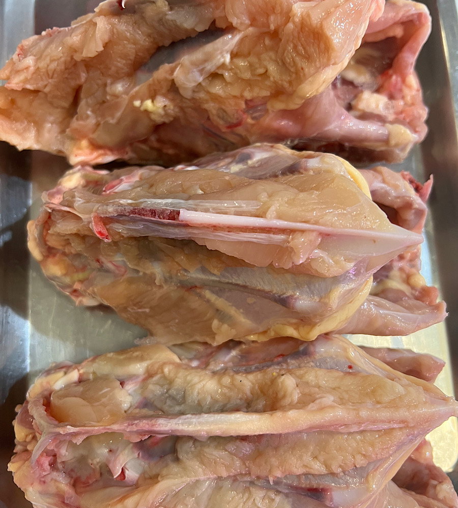 Fresh Chicken Backbone 新鲜鸡背骨