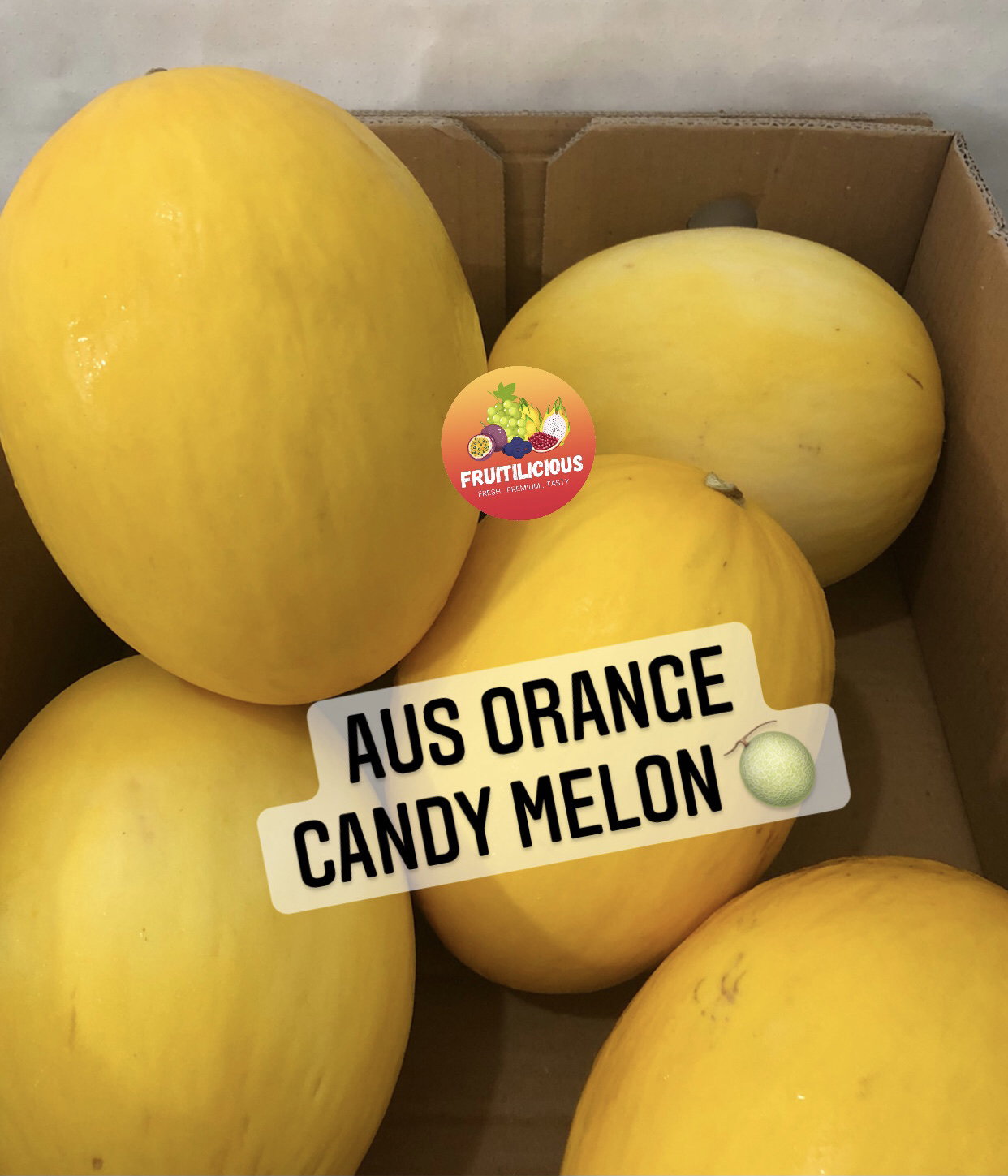 AUS ORANGE CANDY MELON (L)_0