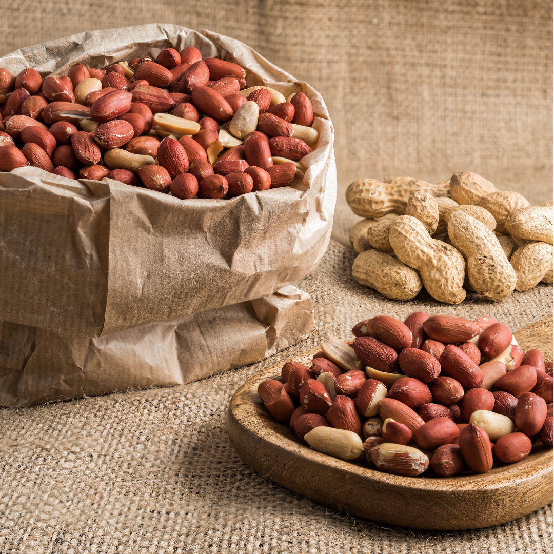  Peanut / நிலக்கடலை