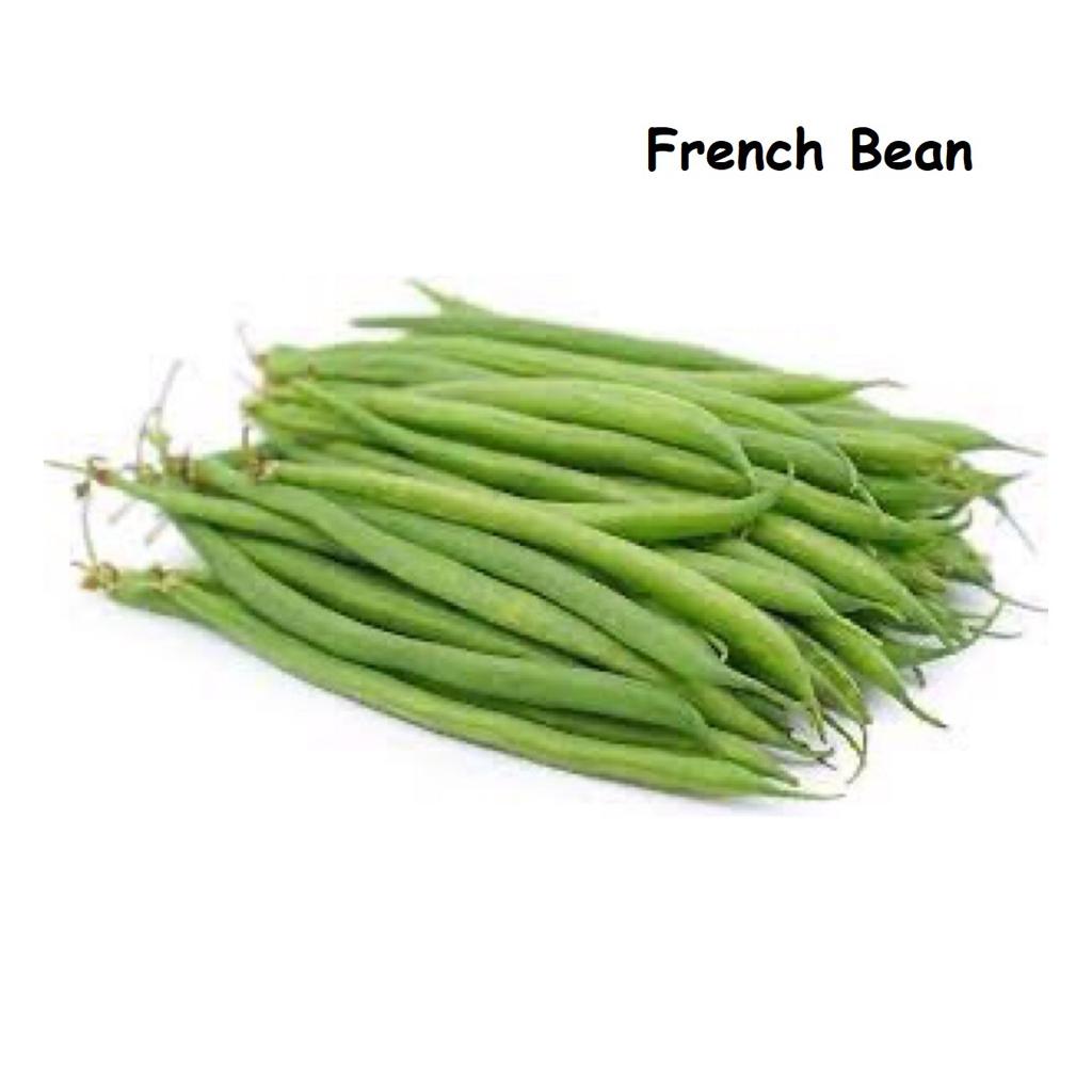 French Bean 四季豆_0