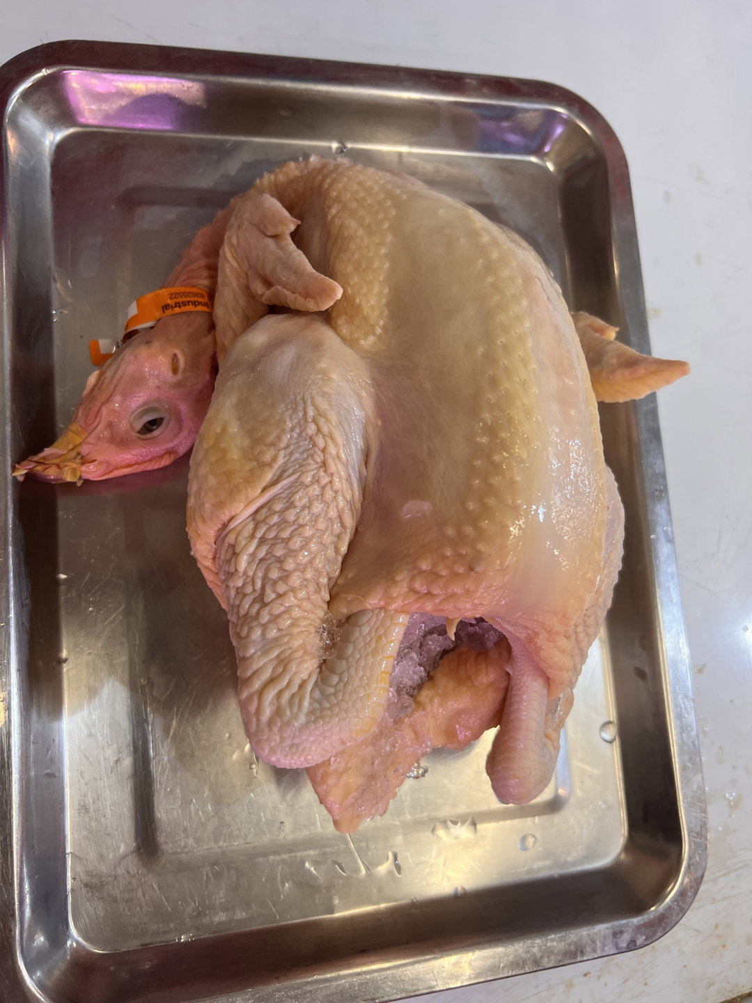 Fresh Kampong Pullet (新鲜山芭鸡)
