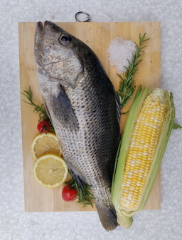 Golden Snapper