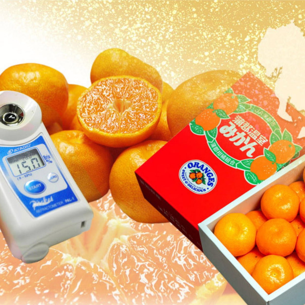 JPN AICHI GAMAGŌRI HOUSE MIKAN GIFTBOX (1.2KG)_2