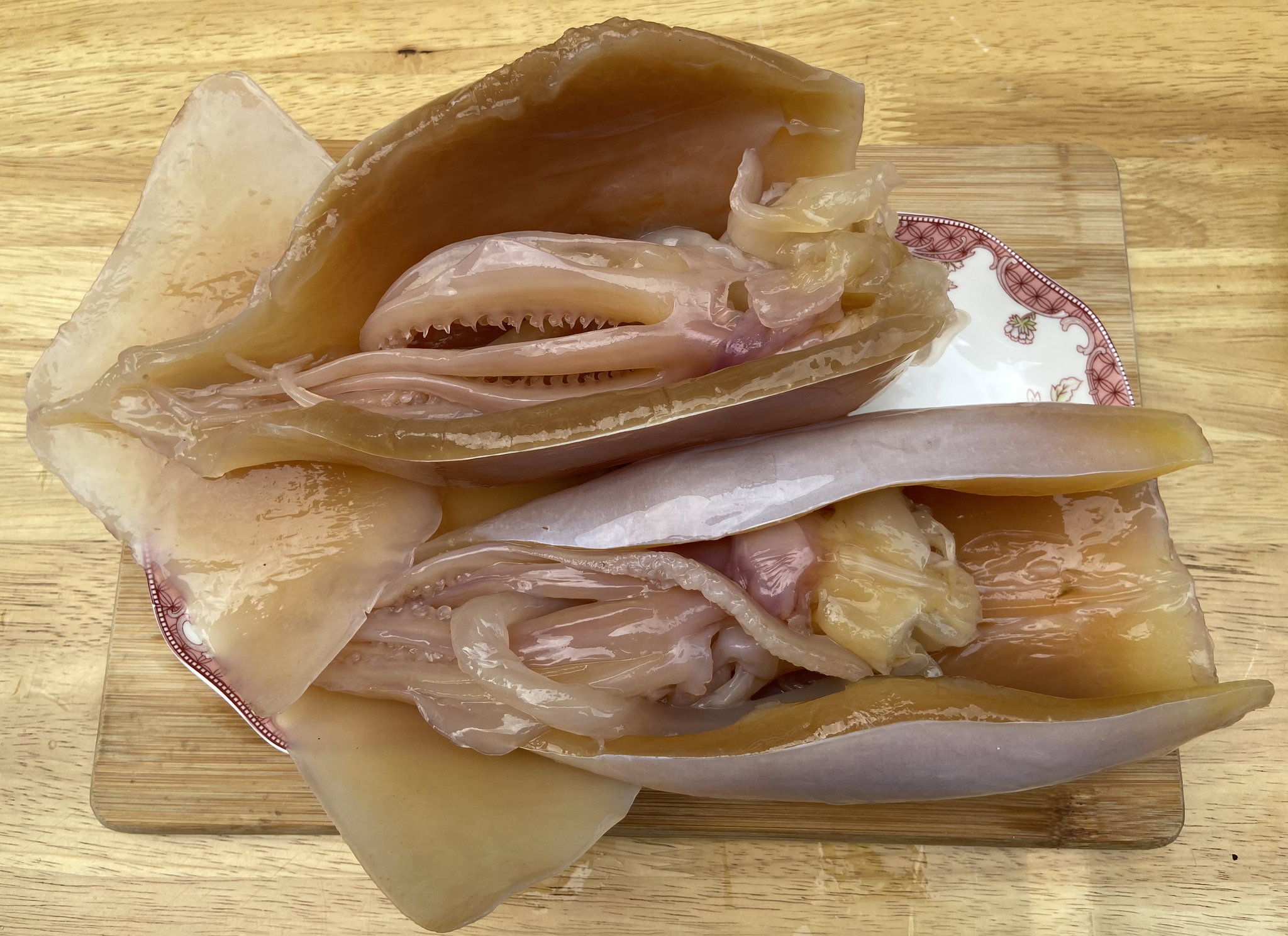 Fresh Cuttlefish 鱿鱼_0