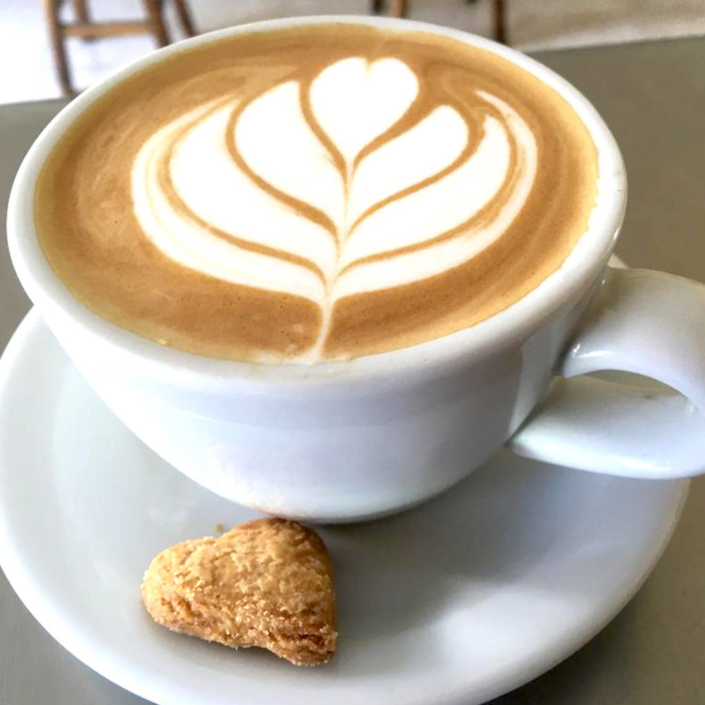Cappuccino 8oz._0