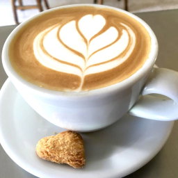 Cappuccino 8oz.