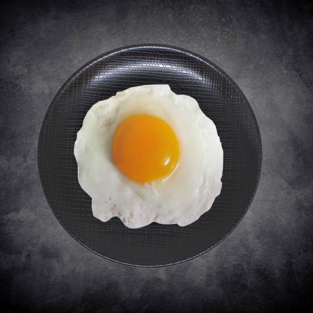 Sunny Egg_0