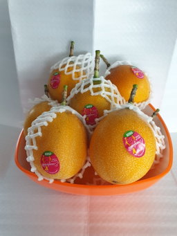 ECUADOR GOLDEN PASSIONFRUIT