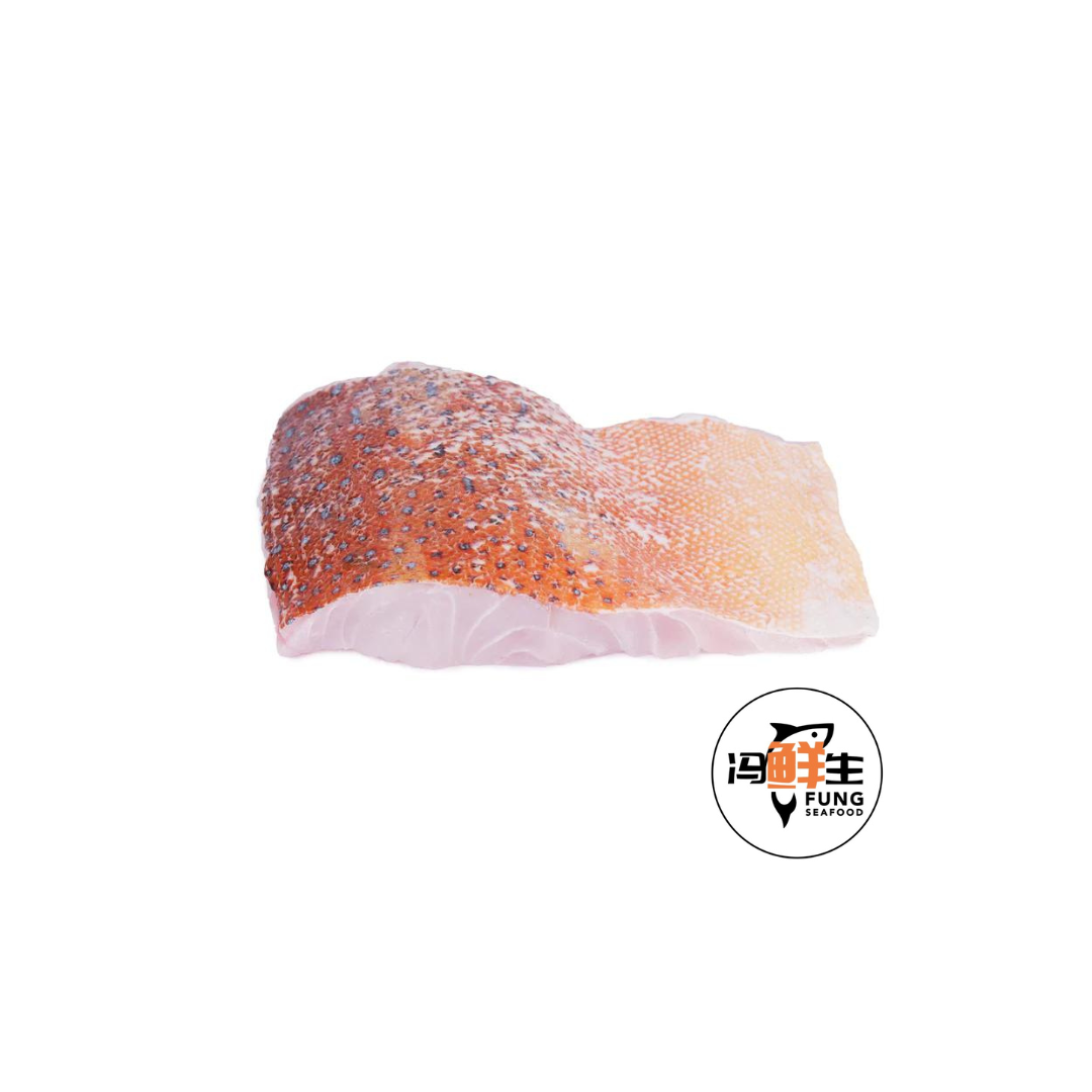 Red Grouper Fillet