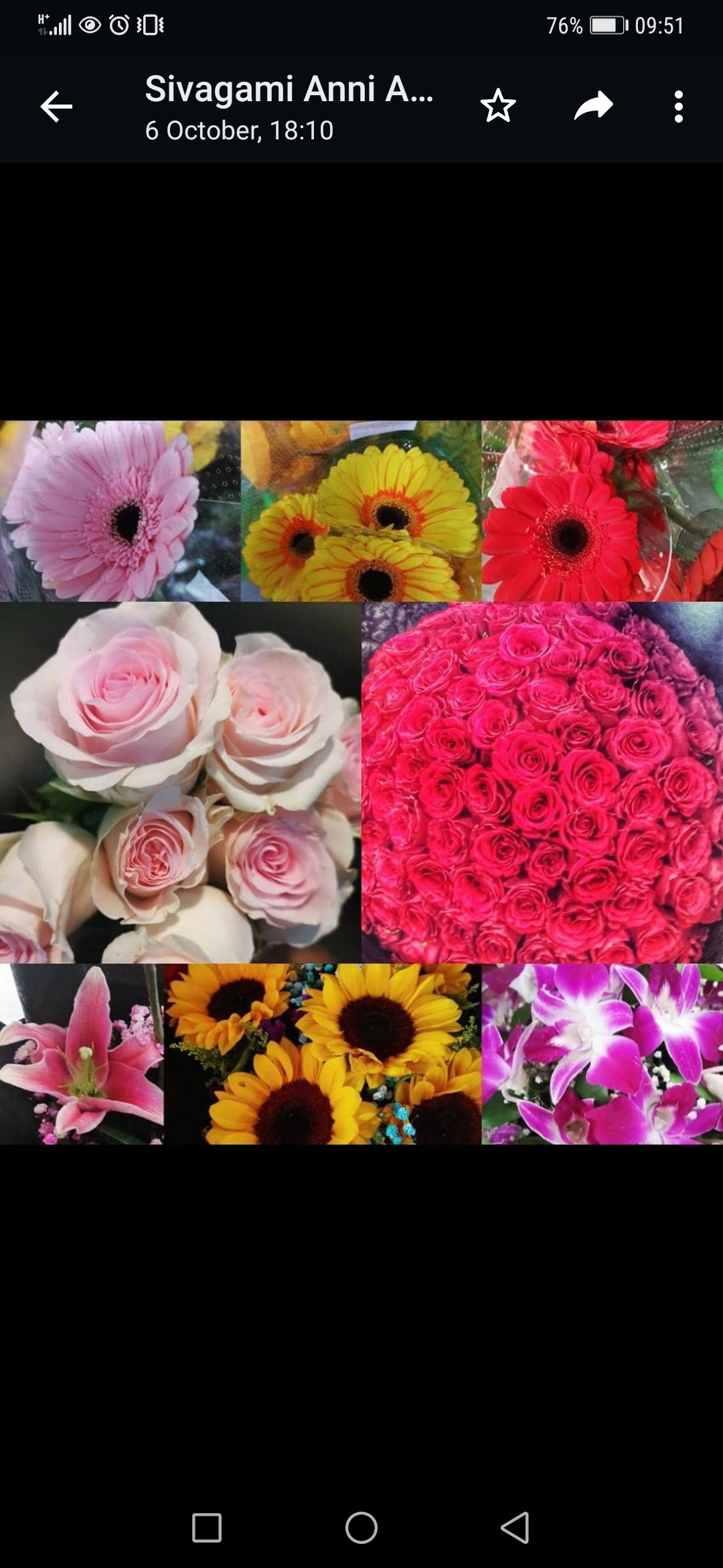 Sunflower by stalks. Limited stock_0