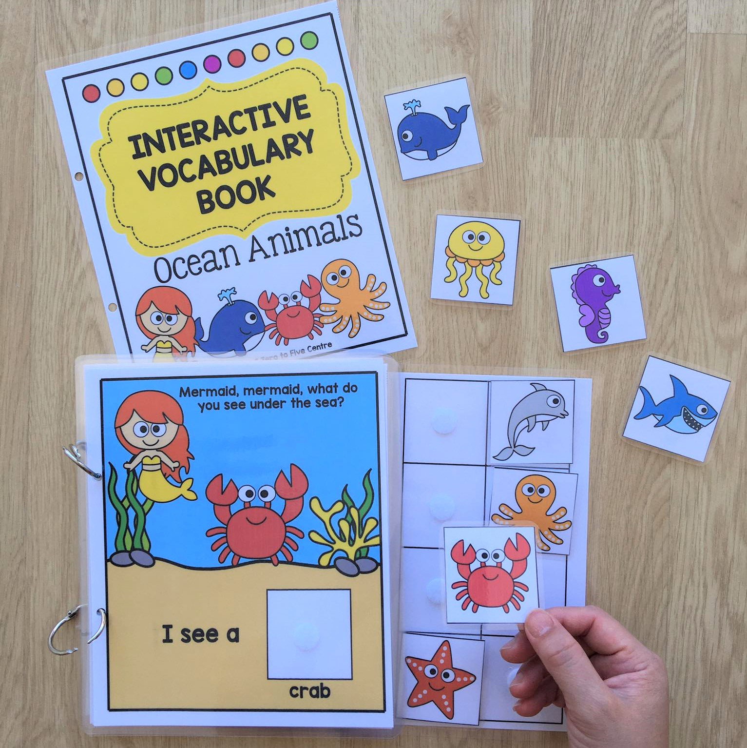 Interactive Vocabulary Books Volume 2_2