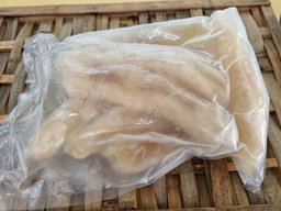 Tiger Sea Cucumber (5-7)/Kg