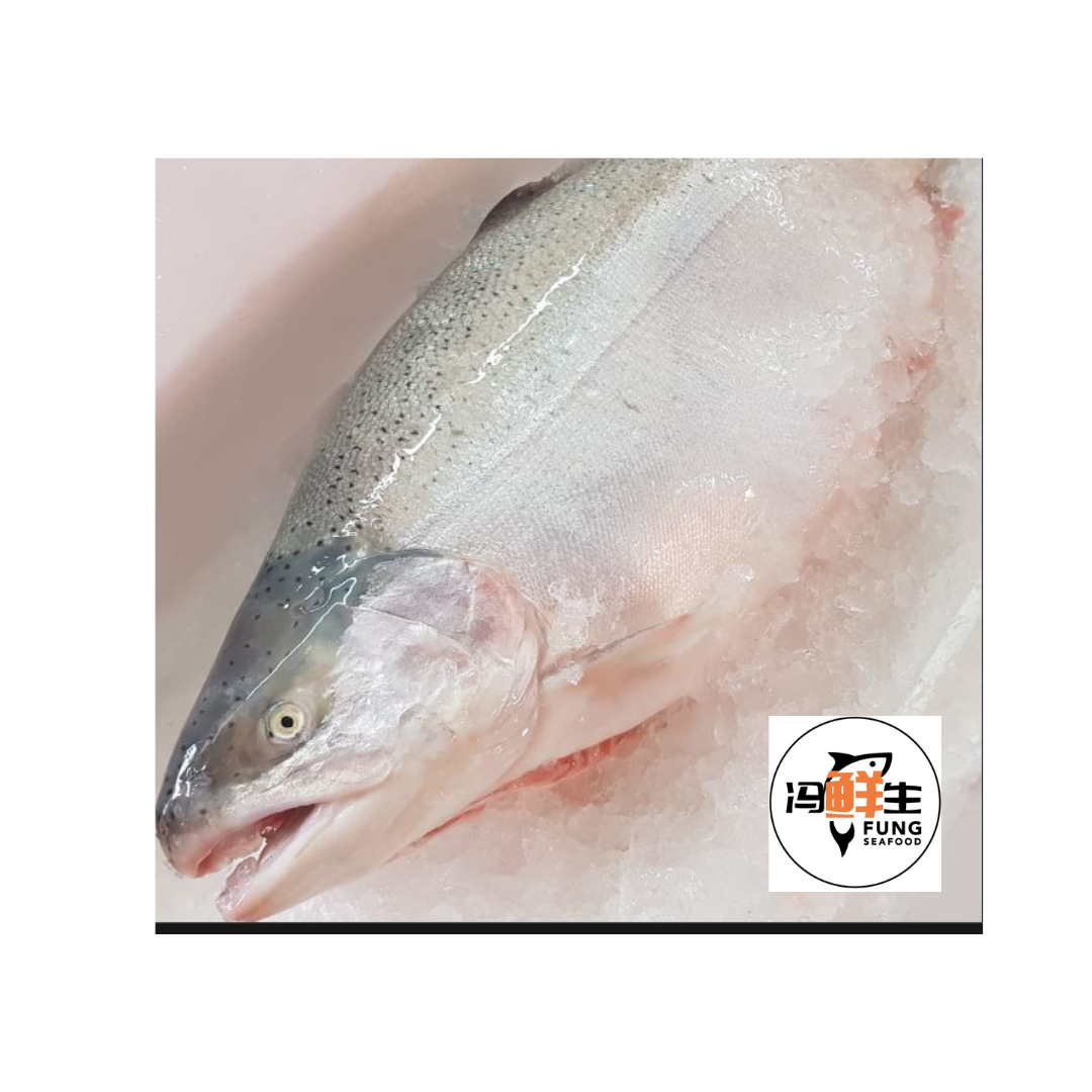 Whole Salmon Trout  4KG ( 三文鱼 )_0