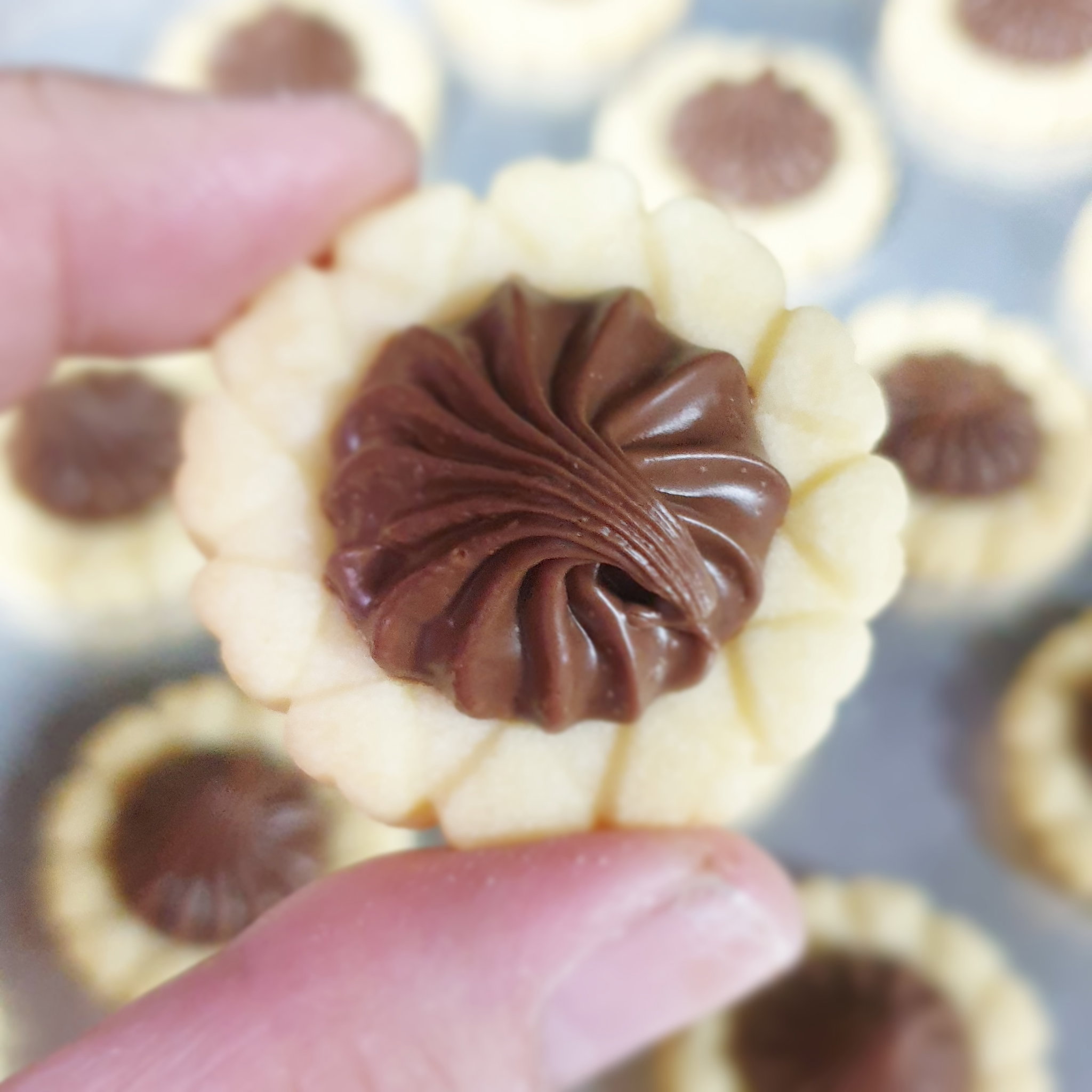 Hazelnut Choco Tartlets_0