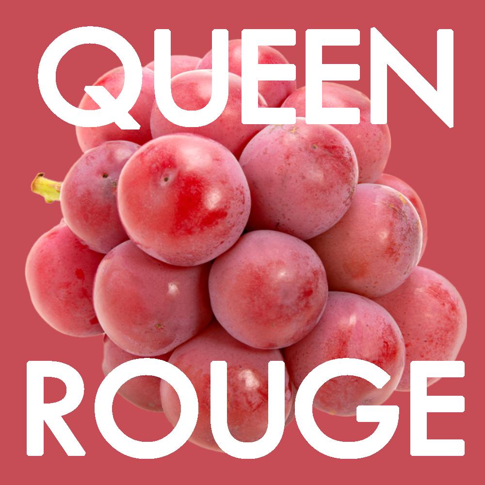 JPN NAGANO QUEEN ROUGE SL GRAPES_3