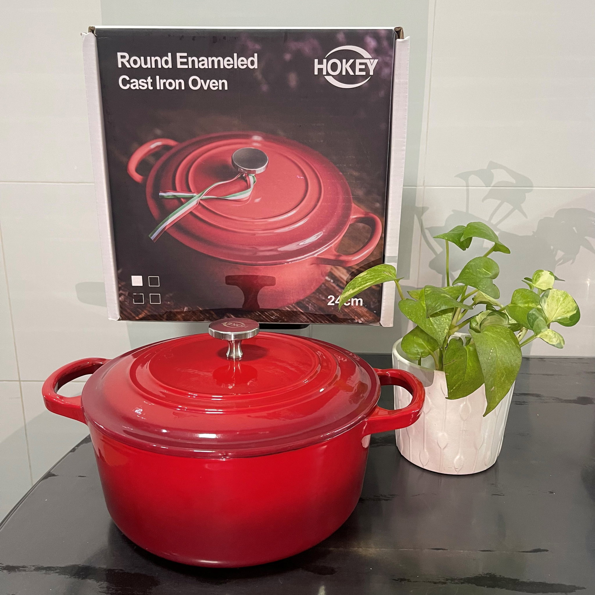 Hokey Round Enameled Cast Iron Oven 珐琅锅 24cm _0