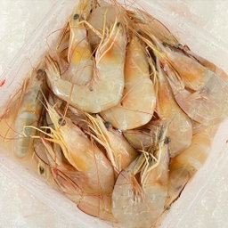 Ang Ka Prawn 红脚虾