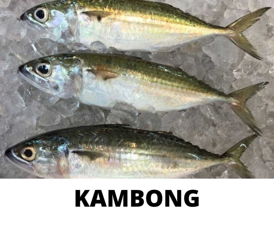 KAMBONG