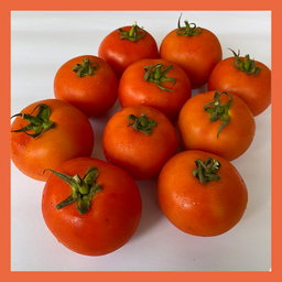 Vine Ripe Tomatoes 